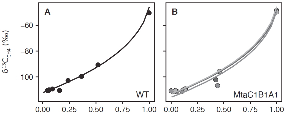 Methanol-specific methyltransferase kinetic isotope effects