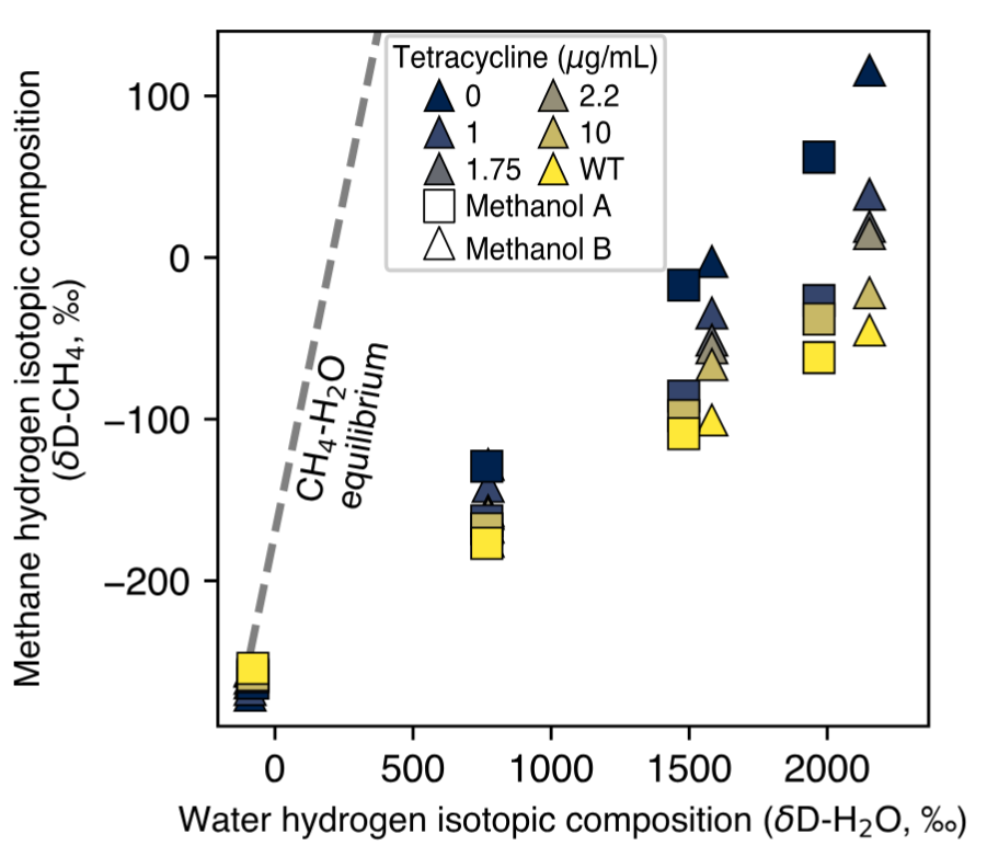 Methane isotopic composition changes with MCR abundance