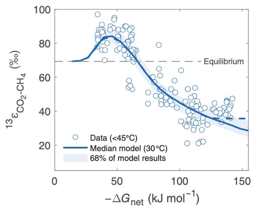 Metabolic-isotopic model of hydrogenotrophic methanogenesis
